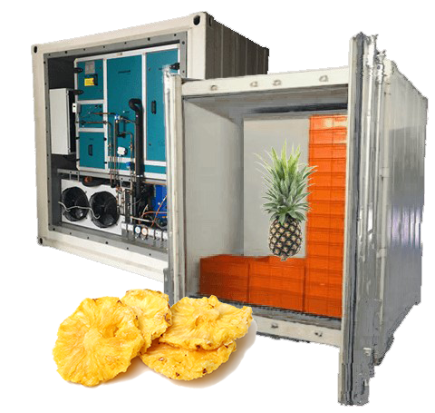 Front und Rückansicht des Varsbox-Trockners mit einer Ananas im Trockner und getrockneten Ananas im Vordergrund.